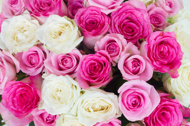 Similar image 8485205