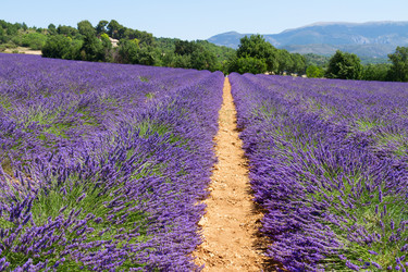 Similar image 8485274