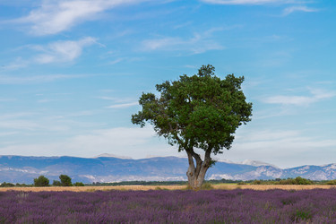 Similar image 8485276