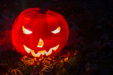 Similar image 8485327