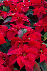 Similar image 8485354