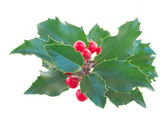 Similar image 8485355