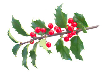 Similar image 8485356