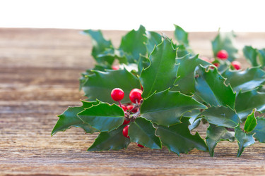 Similar image 8485357