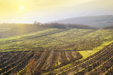 Similar image 8485724