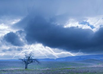 Similar image 8485759