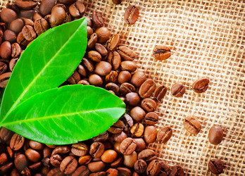 Similar image 8485863