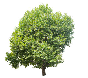 Similar image 8486079