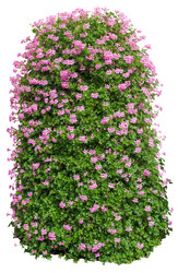 Similar image 8486084