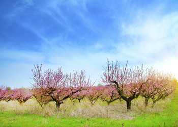 Similar image 8486310