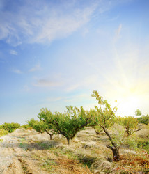 Similar image 8486454