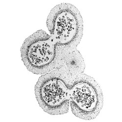 Similar image 8487491