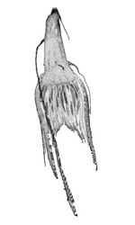 Similar image 8487621