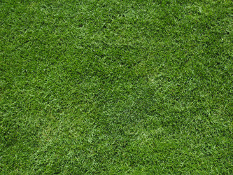 Similar image 8487639