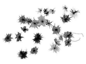 Similar image 8487788