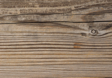 Similar image 8487799