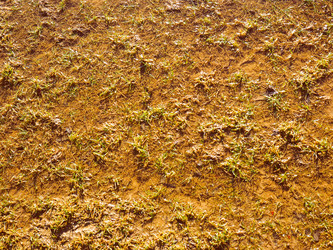 Similar image 8487873