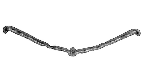 Similar image 8487925