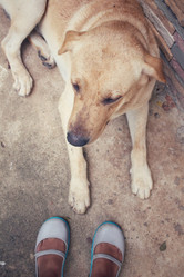 Similar image 8487980