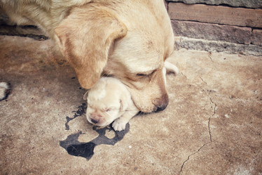 Similar image 8487982