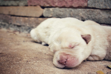 Similar image 8487984