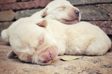 Similar image 8487986