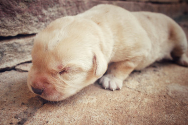 Similar image 8487989