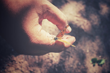 Similar image 8487991