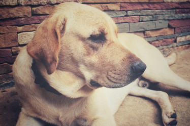 Similar image 8487993