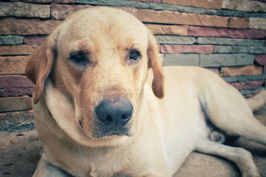 Similar image 8487994