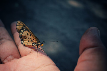 Similar image 8487995