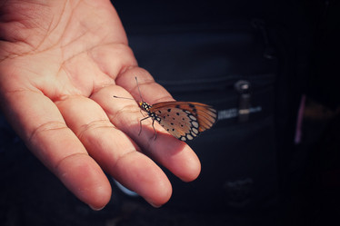 Similar image 8487997