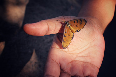 Similar image 8487998