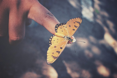 Similar image 8488000