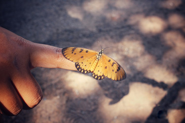 Similar image 8488001