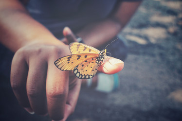 Similar image 8488004