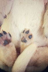 Similar image 8488005