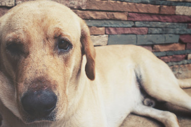 Similar image 8488008