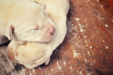 Similar image 8488010