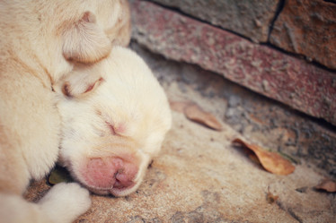 Similar image 8488012