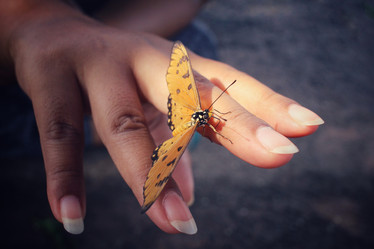 Similar image 8488025