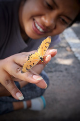 Similar image 8488026