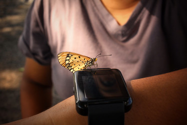 Similar image 8488028