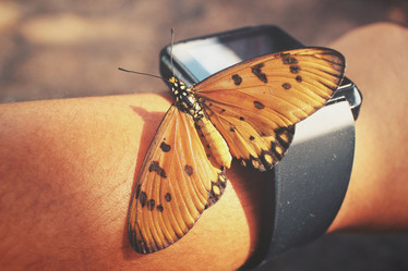 Similar image 8488029