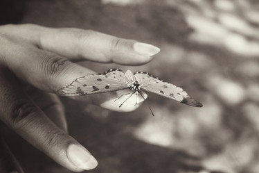 Similar image 8488031