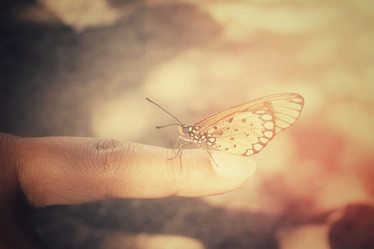 Similar image 8488032