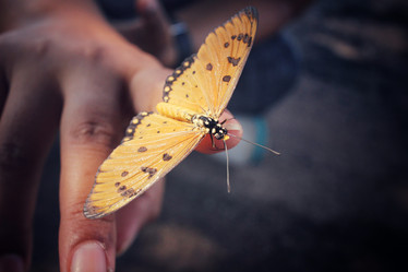 Similar image 8488033