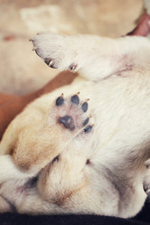 Similar image 8488136