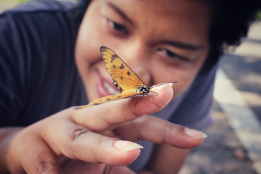 Similar image 8488139