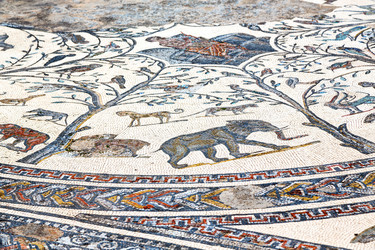 Similar image 8488392